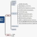 식중독 관련 미생물과 예방법﻿ 이미지