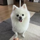정운갈비 | 너무