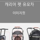 애견매니아 이미지