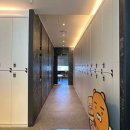 신영골프 이미지