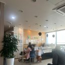 박석채내과의원 이미지