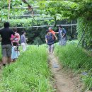 박광수농장 이미지