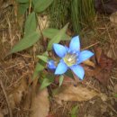 도로감시 이미지