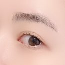 반네일래쉬