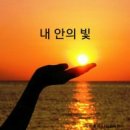 빛