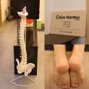 서초대로52길 22 | 카이로프랙틱 가격 비용 후기, 교대 체형교정 마사지 카이로테라피