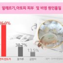 아토피하우스 이미지