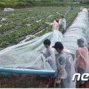 진안농협동향지점 이미지