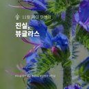 뷰글라스 - 8704 | 뷰글라스