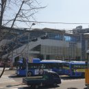 가지많은나무