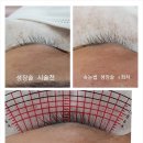 헤라뷰티샵 - 유성구 노은로 144 | 헤라뷰티샵