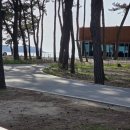 해뜨는바다하우스 | 고사포야영장 하우스8번 후기 변산반도 국립야영장, 운좋게 예약 성공했어요