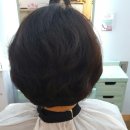 미미살롱 5.5 이미지