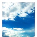 푸른나무 이미지