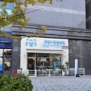 호랑이 동물병원 | 인천 송도 고양이 동물병원 추천 호랑이동물병원 고양이 스케일링 후기