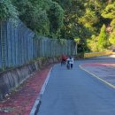 낙동강자전거우회길2 이미지