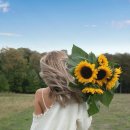 인생낙원 이미지