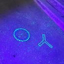 우리도 통기타 버스커 이미지