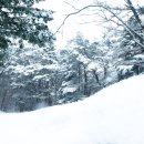 눈오는 치악산 구룡사 입구 이미지