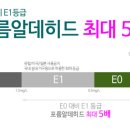 레몬트리 이미지