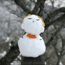 ▣ 겨울산행 유의점 ▣ 겨울 산행시 주의 해야 할점들 ▣ 이미지