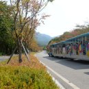 동물원 가는 길 이미지