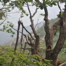 법왕사 앞 이미지