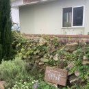 그린아이스무역 | 여행] [남해 여행] 남해 베이클럽 / 돌창고 / 때깔로무역 / 남해 아구찜 존맛집 추천 / 내돈내산 솔직후기