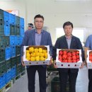 인제농협산지유통센터 이미지