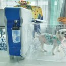 전남메디텍 이미지