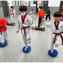 태비 태권도 이미지