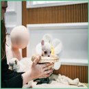 서림동-16 이미지