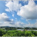 미스터홈즈공인중개사사무소 | 삼송공인중개사 안전한 부동산 거래, 미스터홈즈 고양삼송센터와 함께