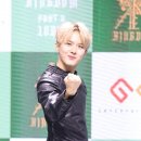 킹덤태권도 이미지