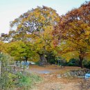 보운가든 이미지