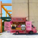 동호초교병설 이미지