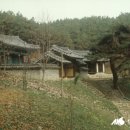 팔지천 이미지