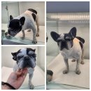 묘도1길 이미지