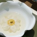슬기로운밥상생활
