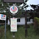 사리밤티재 Daum카페