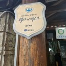 속풀이마당 | 포항 죽도동 복어요리 삼오복집 — 진한 국물 맛으로 속이 풀리는 복매운탕 한 그릇