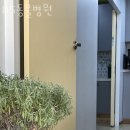 DS동물병원 네이버블로그