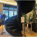 판교로156번길 이미지