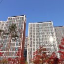 에바다공인중개사사무소 이미지