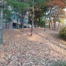 반포프라자약국 이미지