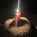 『채식주의자』, 『몽고반점』, 『나무 불꽃』 내용 후기 한강 소설