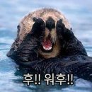 명학골