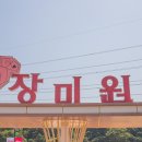 2019 울산대공원 장미축제 이미지