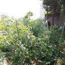 영강어린이집 이미지