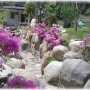 펜션 강가애 이미지